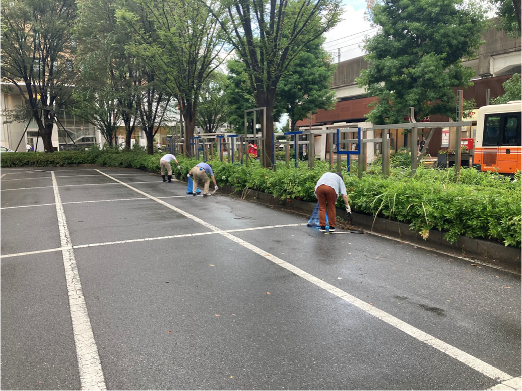 落ち葉清掃の様子